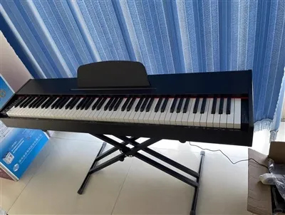 Siz bilmasligingiz uchun ichki raqamli pianino doirasi haqida insider.